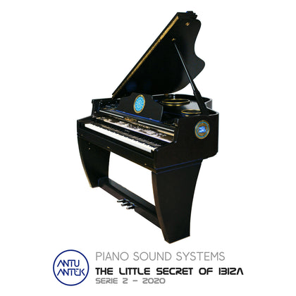 THE LITTLE SECRET OF IBIZA